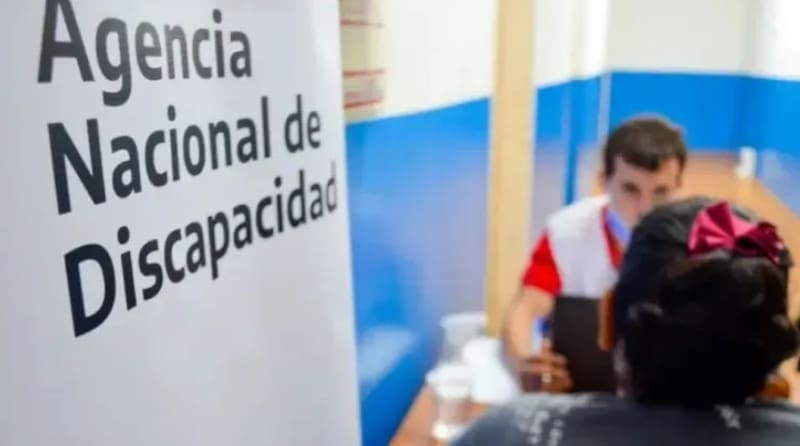 Chau certificado de discapacidad: el Gobierno confirmó que eliminarán el beneficio a las personas de esta lista (foto: archivo).
