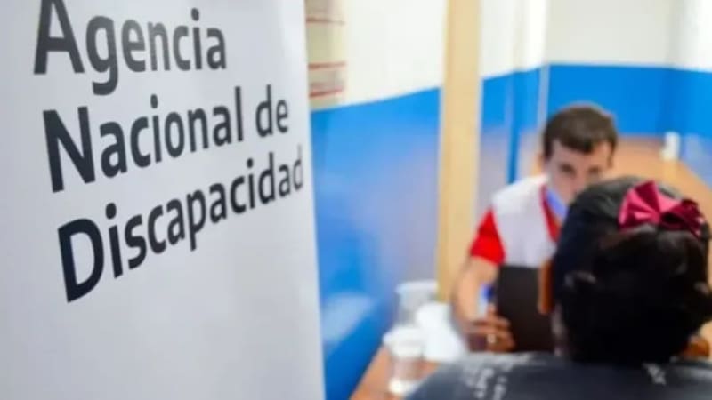 Chau certificado de discapacidad: el Gobierno confirmó que eliminarán el beneficio a las personas de esta lista (foto: archivo).