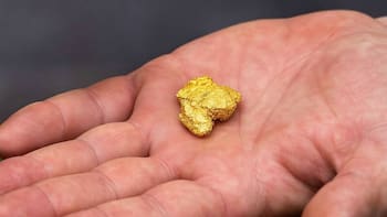 Todos lo arrojan a la basura pero contiene oro de veintidós quilates que llega a valer miles de dólares