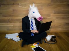 Quién será el próximo unicornio argentino: las startups que ya están en la carrera