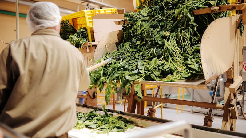 Después de 60 años, una reconocida multinacional cierra una planta en Argentina. Foto: Unilever.