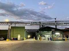 Paso a paso: cómo Vicentin está saliendo del pozo financiero y recuperando producción