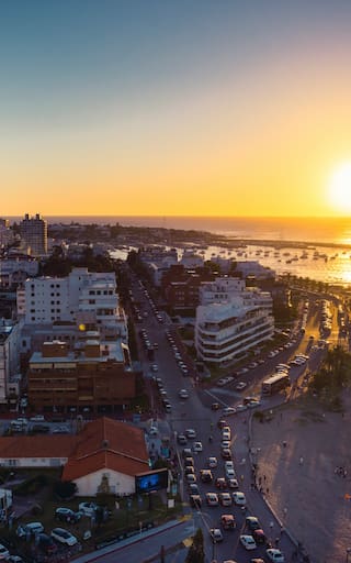 ¿No querés emigrar lejos de Argentina?: este es el país Nº1 de Sudamérica para hacer home office