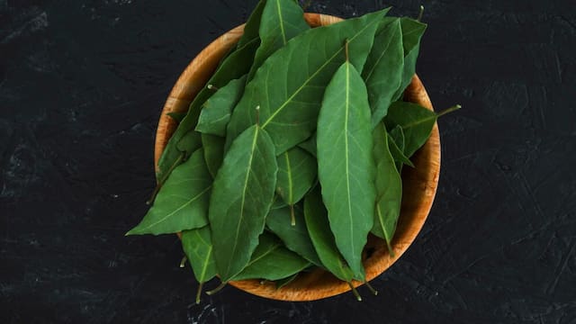 Por qué razón debes ponerle una hoja de laurel a tu celular: esto es lo que ocurre