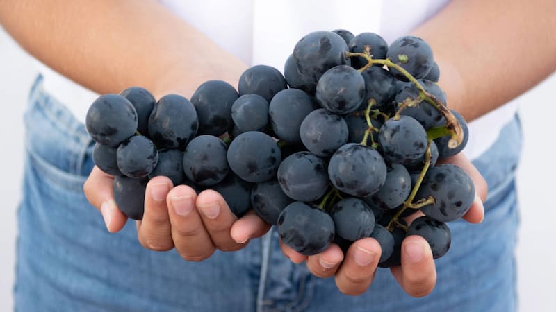 En la medianoche del 31 de diciembre, se comen 12 uvas, una por cada mes del año, acompañadas de un deseo por cada una. Foto: Freepik.