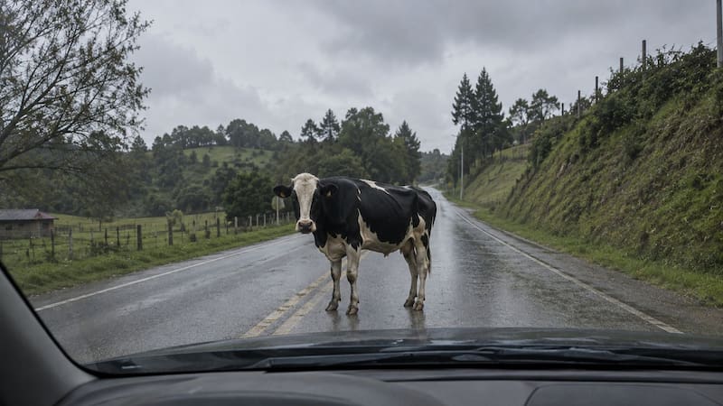 Saber cómo reaccionar permite reducir las posibilidades de un accidente.