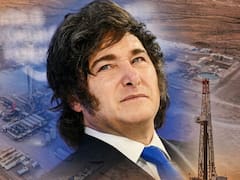 Súper RIGI: los 4 problemas que tiene el actual régimen de inversiones y por qué puede fallar el nuevo