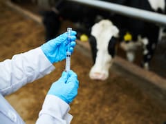Un laboratorio líder en sanidad animal invirtió u$s 100 millones en su tercera planta de vacunas para exportar el 90%