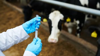 Un laboratorio líder en sanidad animal invirtió u$s 100 millones en su tercera planta de vacunas para exportar el 90%