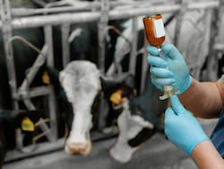 Un laboratorio líder en sanidad animal invirtió u$s 100 millones en su tercera planta de vacunas para exportar