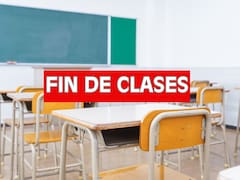 Calendario escolar: no habrá más clases a partir del 20 de diciembre en todo el país el descanso se extenderá cuatro semanas