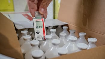 Comienza nuevo periodo de vacunación para ganado bovino