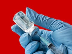 ¿Hay vacuna contra el HANTAVIRUS? Todo lo que tienes que saber antes de viajar a la Argentina
