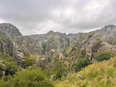 Valle de Los Lisos: la reserva que cuida el mayor tesoro natural de la Argentina a más de 2.000 metros de altura