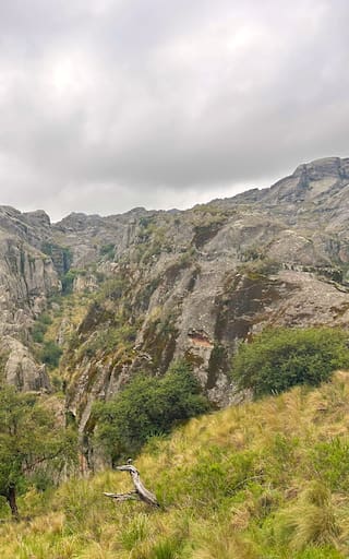 Valle de Los Lisos: la reserva que cuida el mayor tesoro natural de la Argentina a más de 2.000 metros de altura