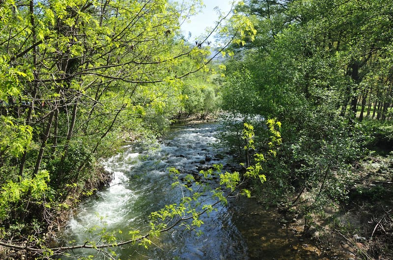 El Valle del Jerte reúne cada año a miles de visitantes atraídos por uno de los paisajes más característicos de la primavera en España.