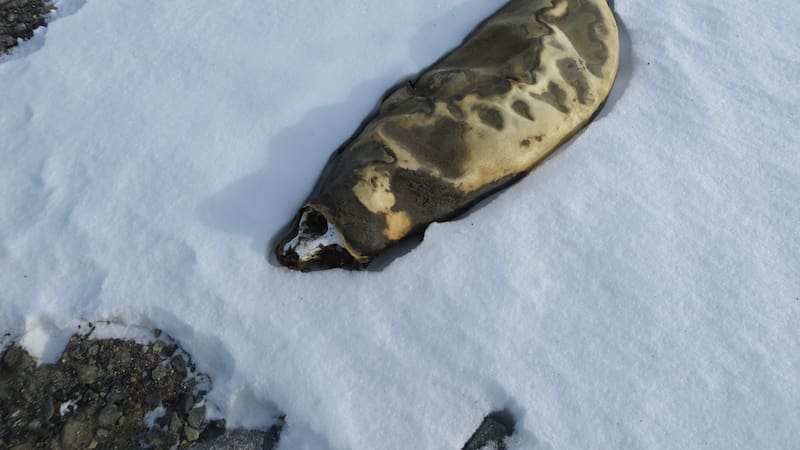 Valles Secos de McMurdo, Antártida.