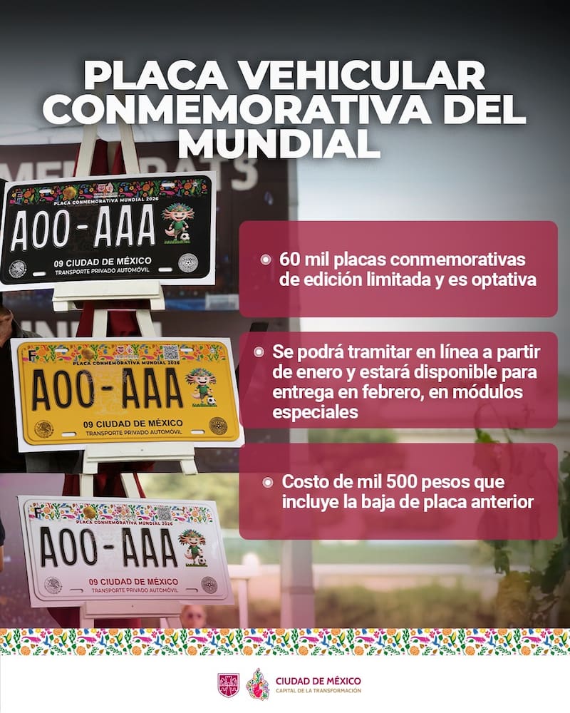 Las placas te puden llegar al domocilio.