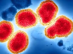 Alerta mundial por nueva gripe variante K: cómo es el brote que “adelantó el invierno” 2026