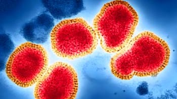 Alerta mundial por nueva gripe variante K: cómo es el brote que “adelantó el invierno” 2026