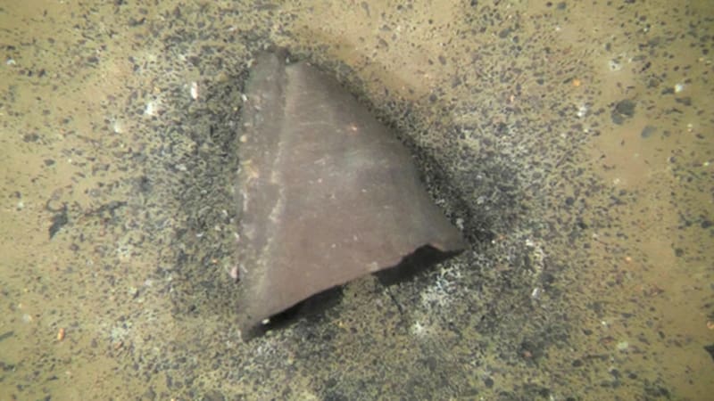 Hallan una reliquia japonesa de más de 10.000 años en el fondo de un lago que podría reescribir la historia del país.