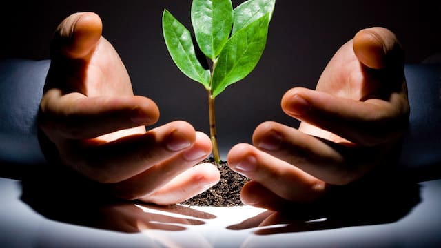 Equilibrio fiscal y capital de riesgo: qué miran los fondos globales en la Argentina de Milei