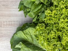 Brote gastrointestinal récord en EEUU desata veto a hortalizas producidas en Guanajuato