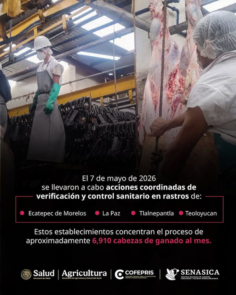 Ecatepec de Morelos, La Paz, Tlalnepantla y Teoloyucan.