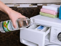 Para qué sirve poner vinagre blanco en el lavarropas y cómo usarlo sin arruinar la ropa