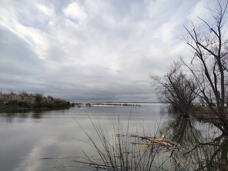 Desembocadura del Arroyo Girado por donde el Vapor del Río Salado del Sud logró arribar a la Laguna de Chascomús en 1857.