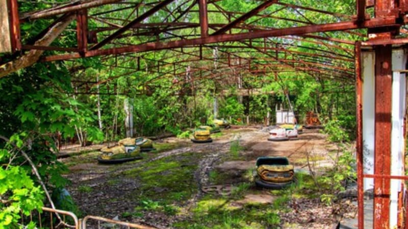 ¿Vida en Chernóbil? Tras 39 años del desastre, la NASA halló el único ser vivo que sobrevivió y no le afectó la radiación. Foto: Reuters
