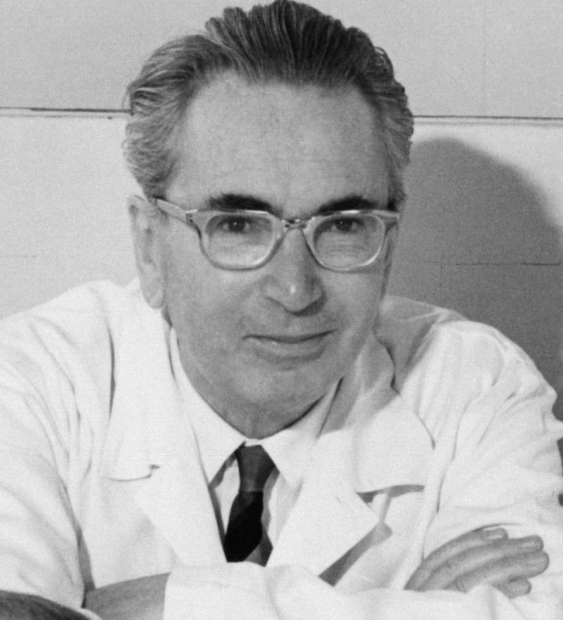 Viktor Frankl y su lógica sobre el sentido de la vida.
