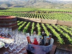 Este pueblo de Tenerife es ideal para los amantes del vino: destaca por su viñedo más alto de Europa y sorprendentes paisajes