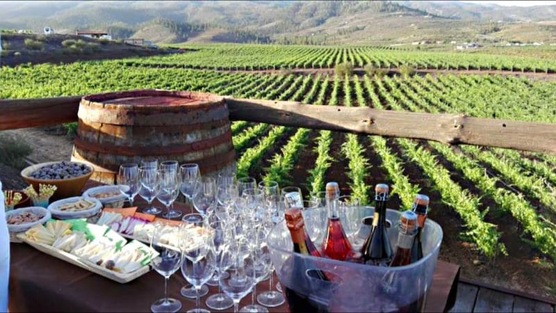 Este pueblo de Tenerife es ideal para los amantes del vino: destaca por su viñedo más alto de Europa y sorprendentes paisajes .