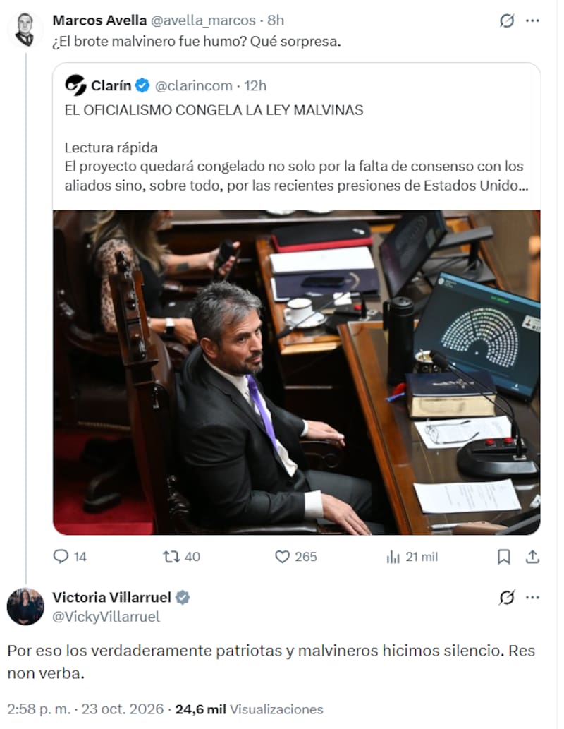 Villarruel volvió a marcar distancia con Milei por la Ley Malvinas: «Los verdaderamente malvineros hicimos silencio»