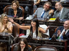 Sin acuerdo por Villaverde, hoy juran 23 nuevos senadores: quiénes son