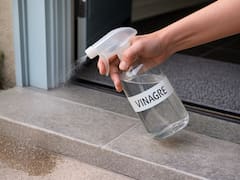 Para qué sirve rociar vinagre en la entrada de la casa y por qué ahora todos los recomiendan