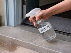 Para qué sirve rociar vinagre en la entrada de la casa y por qué todos lo recomiendan: es tendencia