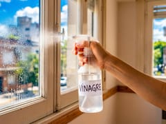 Rociar las ventanas de toda la casa con vinagre: para qué sirve y por qué todos lo hacen de una sola manera