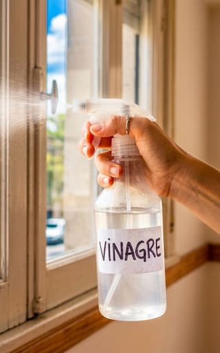 Rociar las ventanas de toda la casa con vinagre: para qué sirve y por qué todos lo hacen de una sola manera