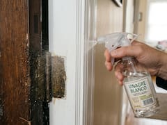 Ponerle vinagre blanco a las bisagras de una puerta: por qué recomiendan hacerlo y para qué sirve