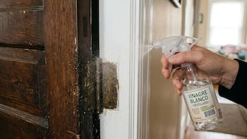 Ponerle vinagre blanco a las bisagras de una puerta: por qué recomiendan hacerlo y para qué sirve