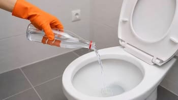 Tirar vinagre blanco en el inodoro: para qué se utiliza y por qué aconsejan realizarlo una vez por noche