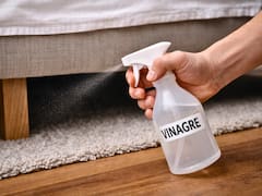 Es tendencia | Para qué sirve rociar vinagre debajo de la cama y por qué todos lo recomiendan