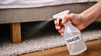 Es tendencia | Para qué sirve rociar vinagre debajo de la cama y por qué todos lo recomiendan