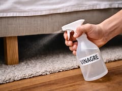 Rociar vinagre debajo de la cama una vez a la semana: por qué hay que hacerlo y para qué sirve