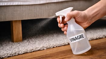 Rociar vinagre debajo de la cama una vez a la semana: por qué hay que hacerlo y para qué sirve