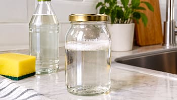Por qué dicen que hay que colocar un frasco de vidrio con vinagre y detergente en la cocina y cómo usar el truco para que funcione