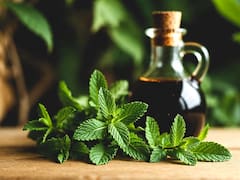 Mezclar hojas de menta y vinagre: para qué sirve y por qué recomiendan hacerlo