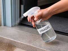 Tirar vinagre en la entrada del hogar: por qué lo recomiendan tanto y para qué se usa